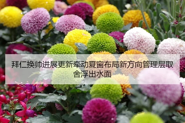 拜仁换帅进展更新牵动夏窗布局新方向管理层取舍浮出水面